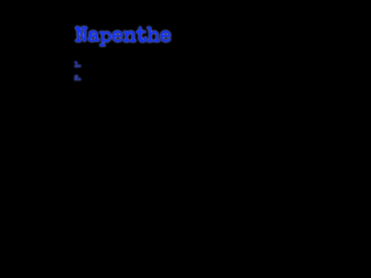 Napenthe_Shadow screenshot