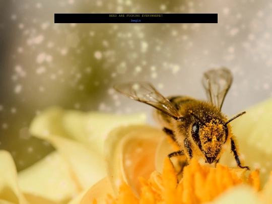 bees screenshot