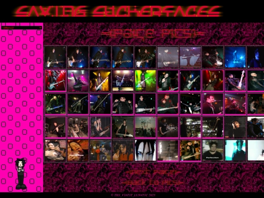 paigepics2 screenshot