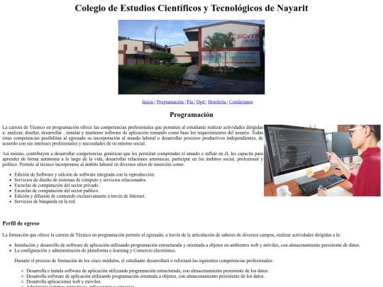 pagina web con menu al principio/pprog screenshot