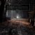 a lonesome forest path. avatar