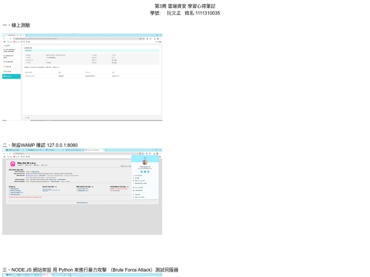 20250305第3(35) screenshot
