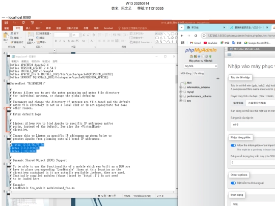 W13 20250514 screenshot