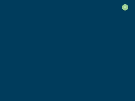 strechy nav/YOUTUBE screenshot