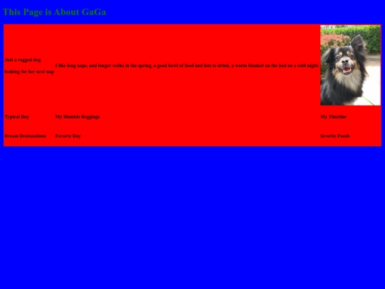 all_about_me screenshot