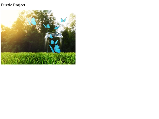a-flexible-puzzle-assignment screenshot