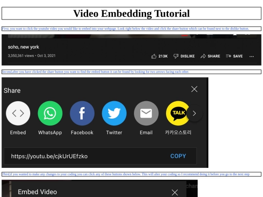 video-embedding screenshot