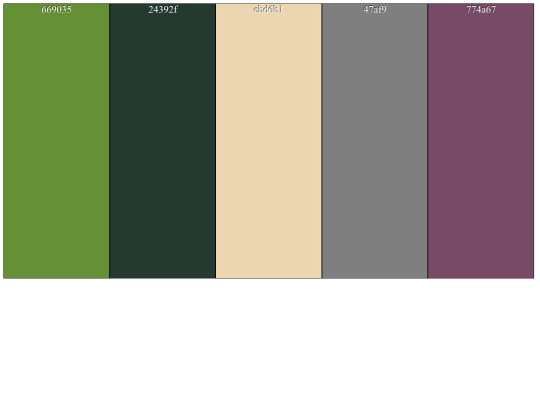 colorizer screenshot