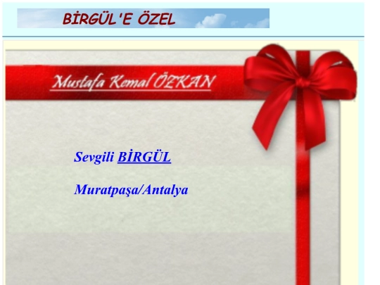 zZarfBirgul screenshot