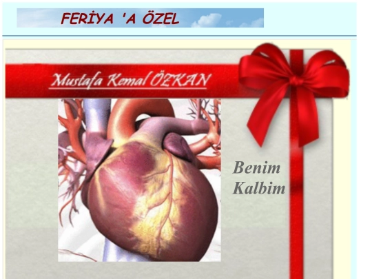 zZarficiFeriya screenshot