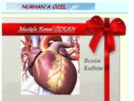 zZarficiNurhan screenshot