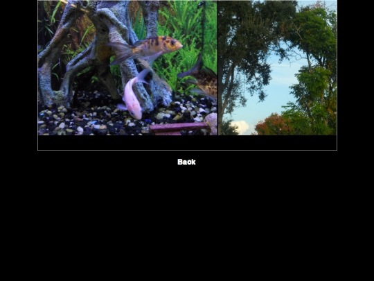 nikon screenshot