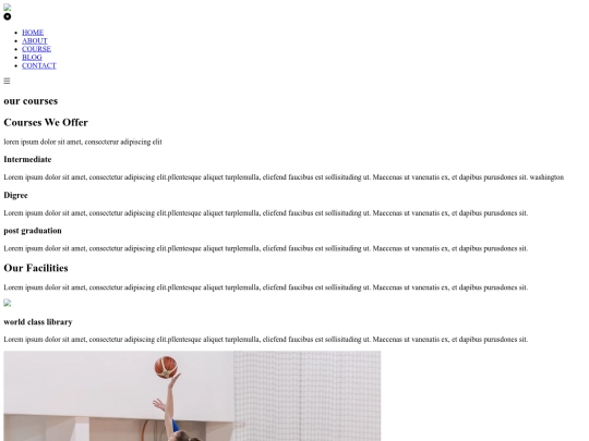 website/course screenshot