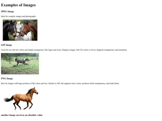 images-example screenshot