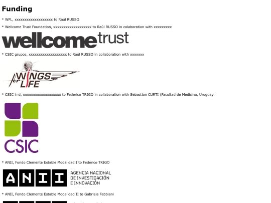 Funding screenshot
