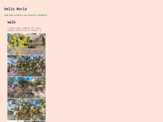 blog/walk screenshot