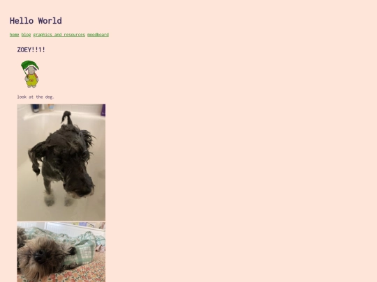 blog/zoey screenshot