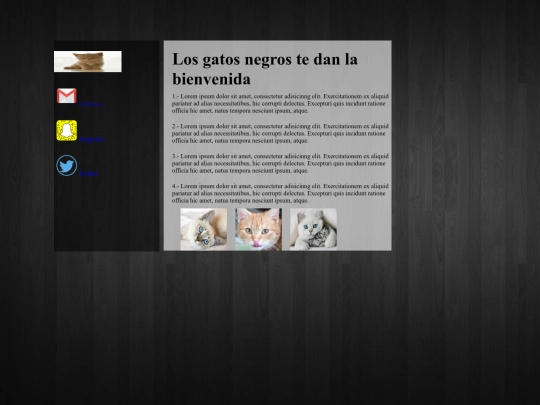 PAGINAWEBGATOCONTONI screenshot