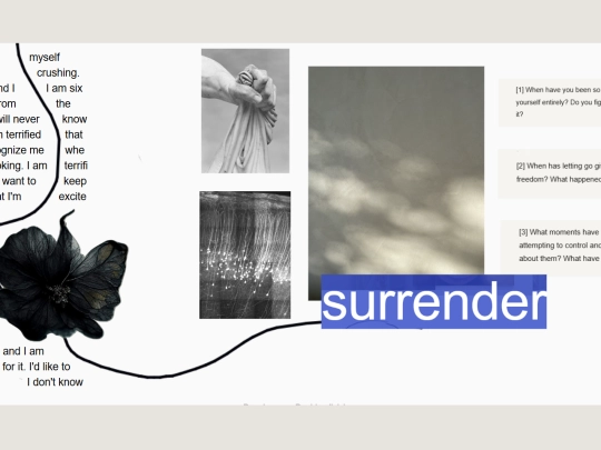surrender-image screenshot