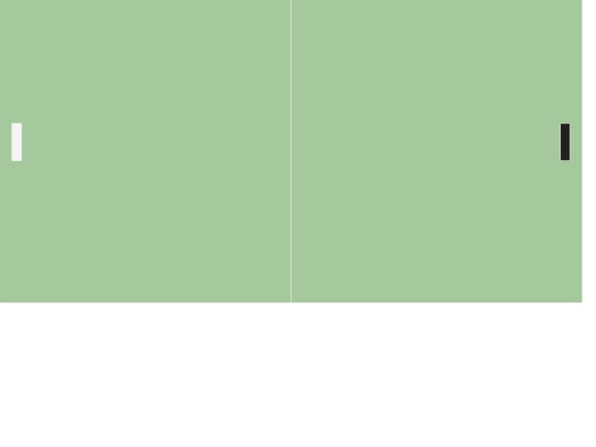 pong/pong2 screenshot