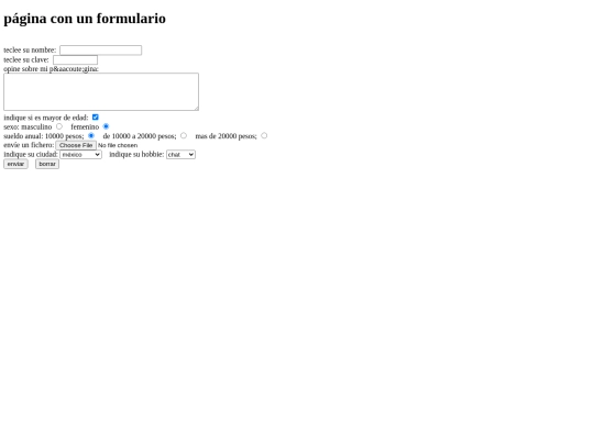 Paginas/JV/formulario screenshot