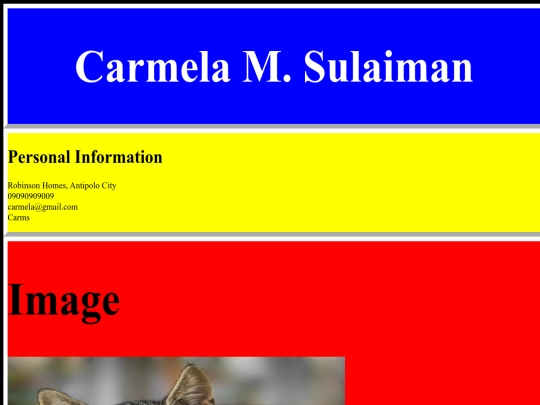 Carms_Finals_Act screenshot