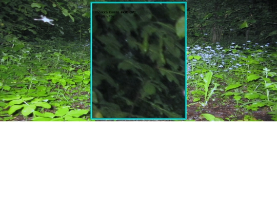 test screenshot