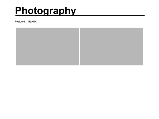 Arts/Photography/blank screenshot