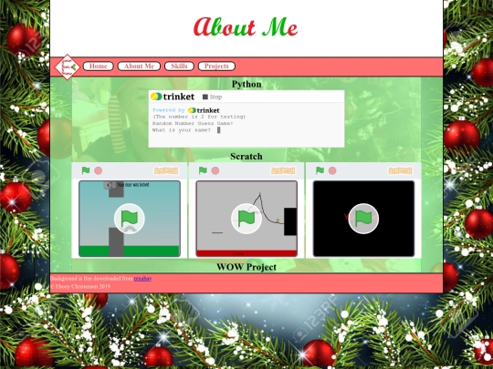 projects screenshot