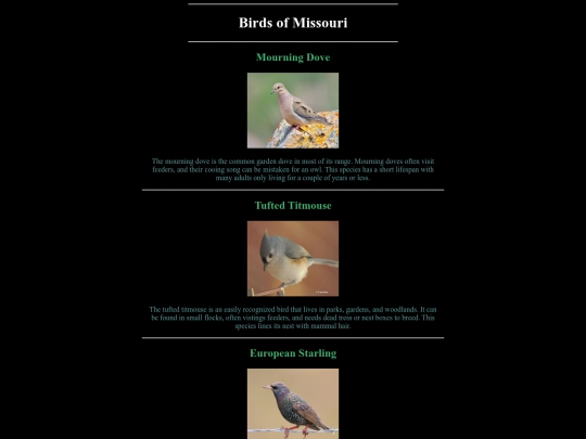 BirdAppreciationDay/bird screenshot