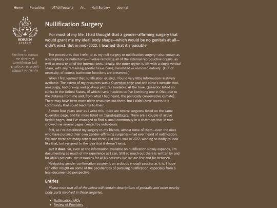 null screenshot