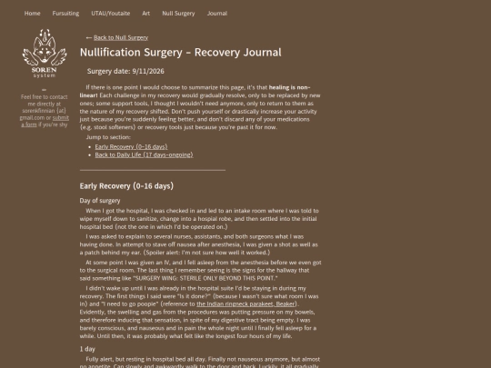 null/recovery-journal screenshot