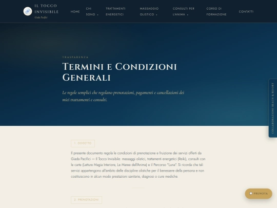 termini-condizioni screenshot