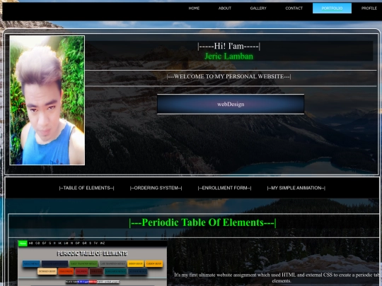 portfolio1 screenshot