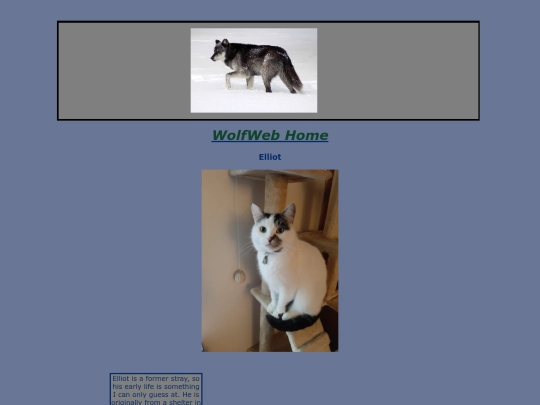 Elliot screenshot