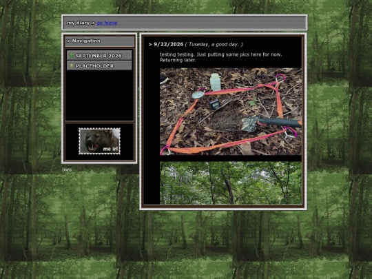 diary/9-26 screenshot
