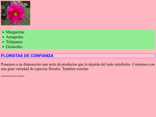 Ejercicio opcional árbol screenshot