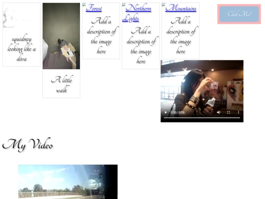 Gallerylog screenshot