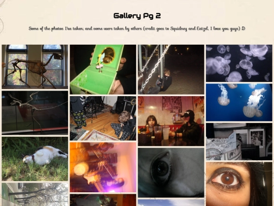 clickandfind screenshot