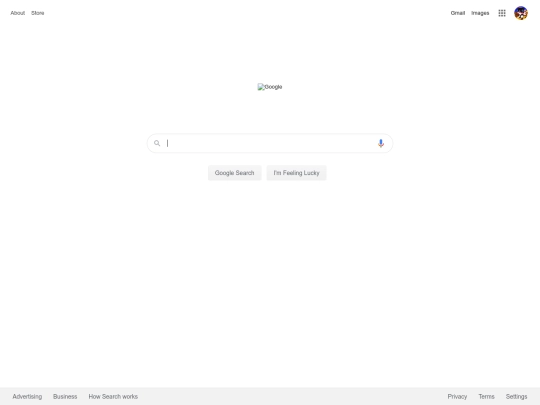 google screenshot