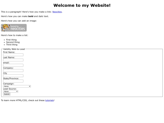 input screenshot