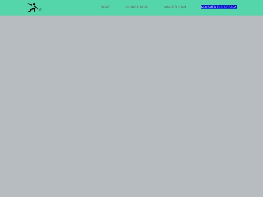 mohamedelshorbagy screenshot