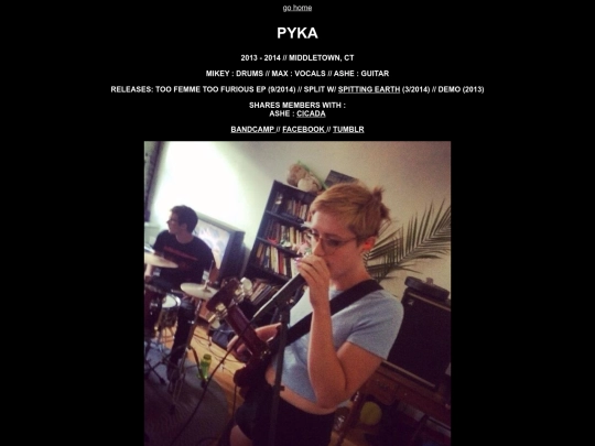 pyka screenshot