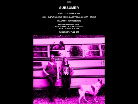 subsumer screenshot