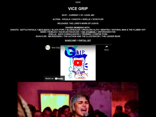 vicegrip screenshot