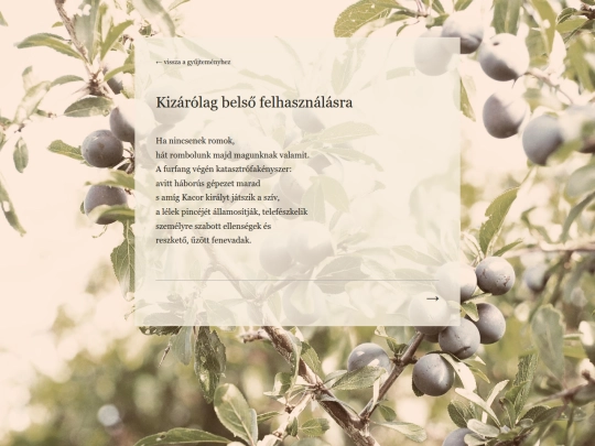 poems/1kizarolag-belso-felhasznalasra screenshot