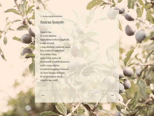 poems/2szaraz-kenyer screenshot