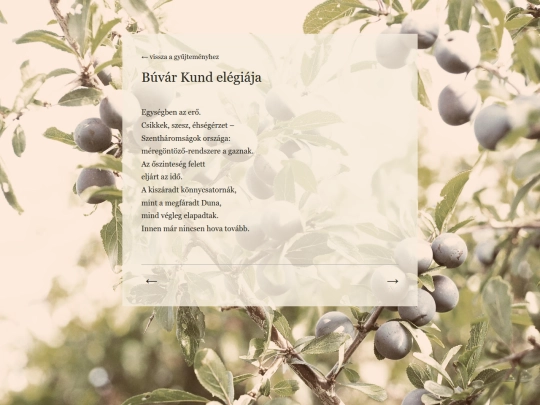 poems/3buvar-kund screenshot