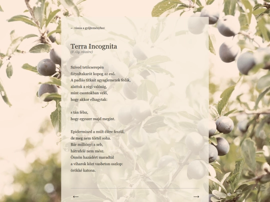 poems/5terra-incognita screenshot