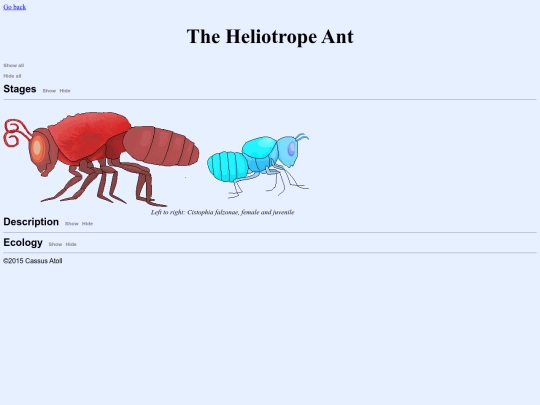 heliotrope screenshot
